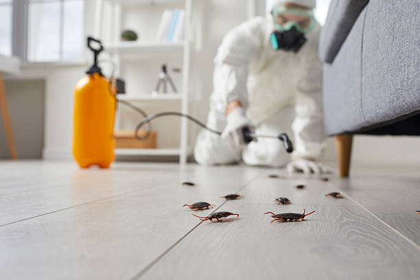 Commercial Kitchen Cockroach Control in Ocean Acres